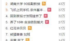 爆料新闻音乐叫什么,爆款音乐背后的神秘故事